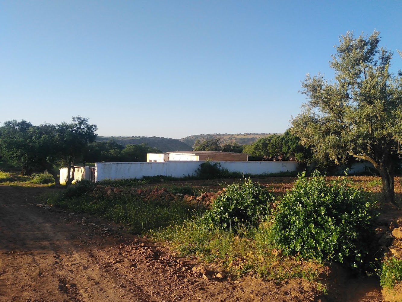 مجموعة مدارس الإمام الشافعي. وحدة تفغلال