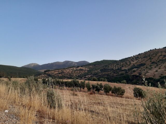 Ras El Oued