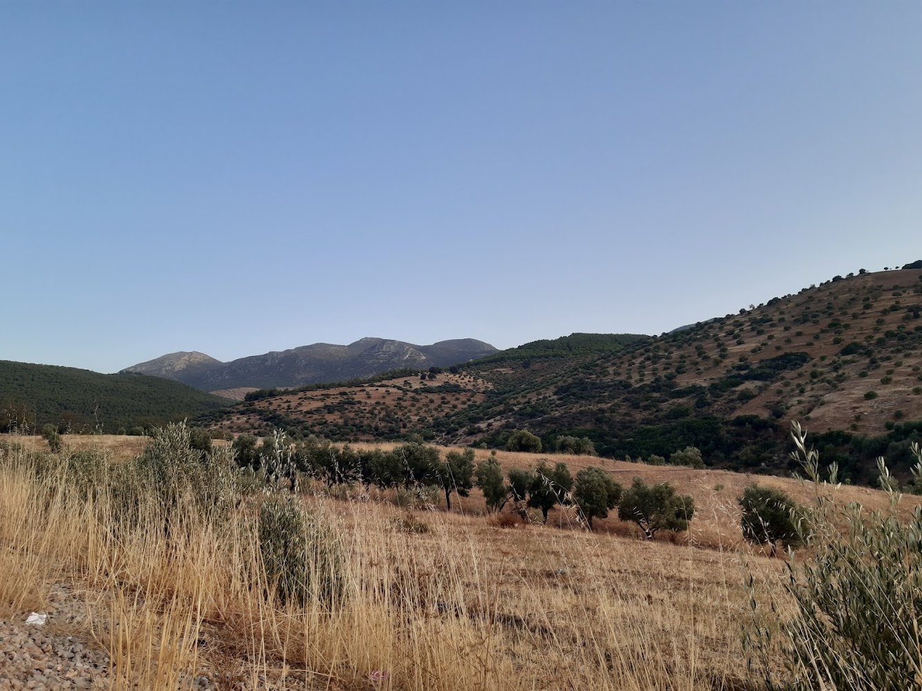Ras El Oued