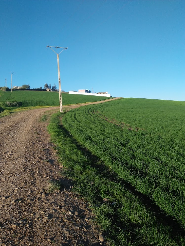 مجموعة مدارس التعاونية الفاضلية