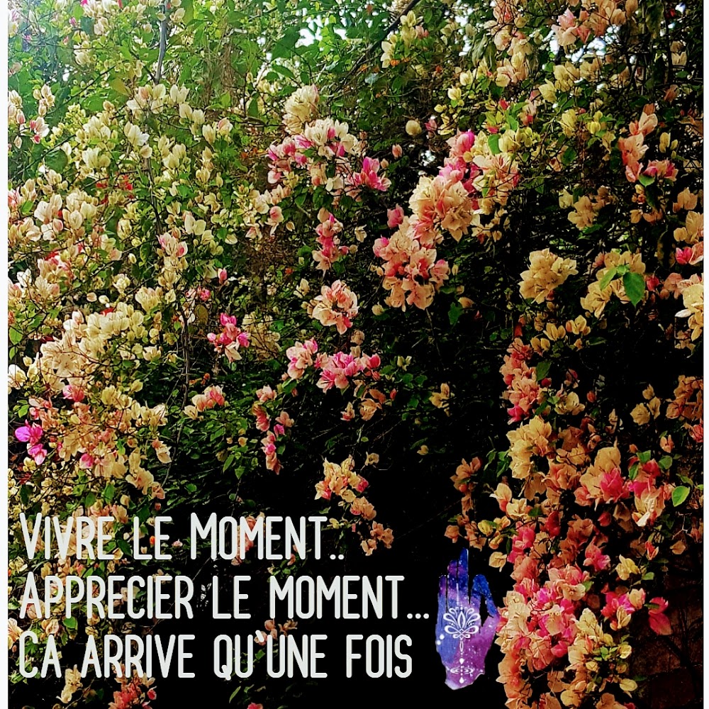 Astuce Merieme Plein Conscience - Mohammédia