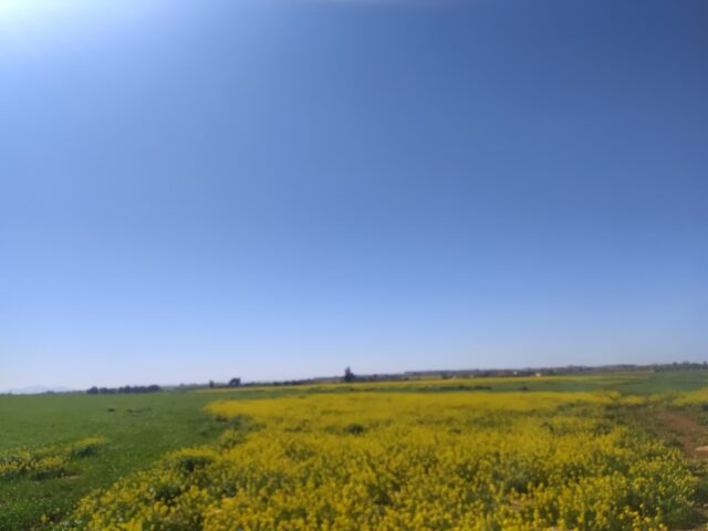 دوار الشرفاء قيادة السماعلة - Ctre Commune Kasbat Troch