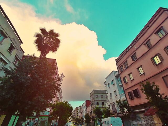 Ecole Ibnou Sina Du casablanca