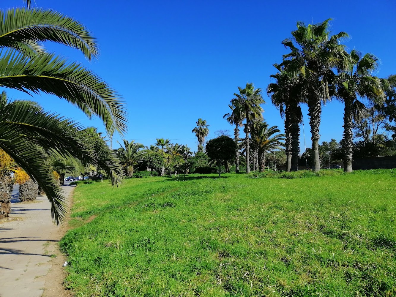 Lycée Technique - Mohammédia