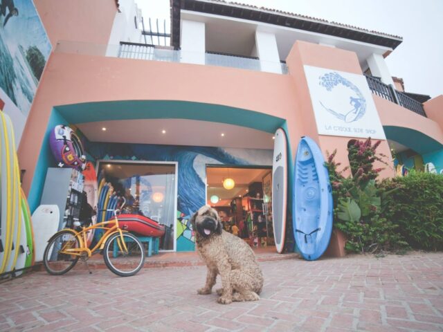 La Crique Surf Shop - Bouznika