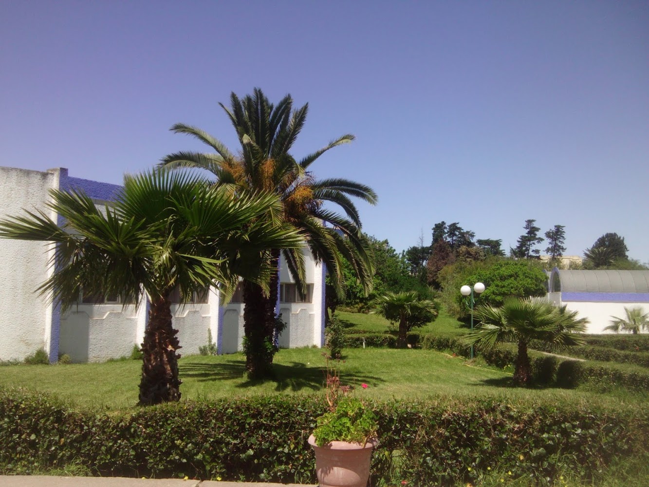 Faculté des Sciences el Jadida - El Jadida