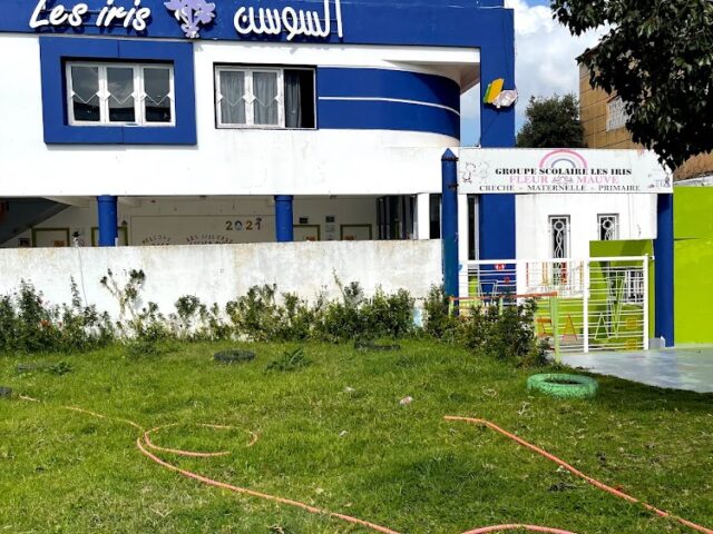 Groupe scolaire les iris (Fleur Mauve)
