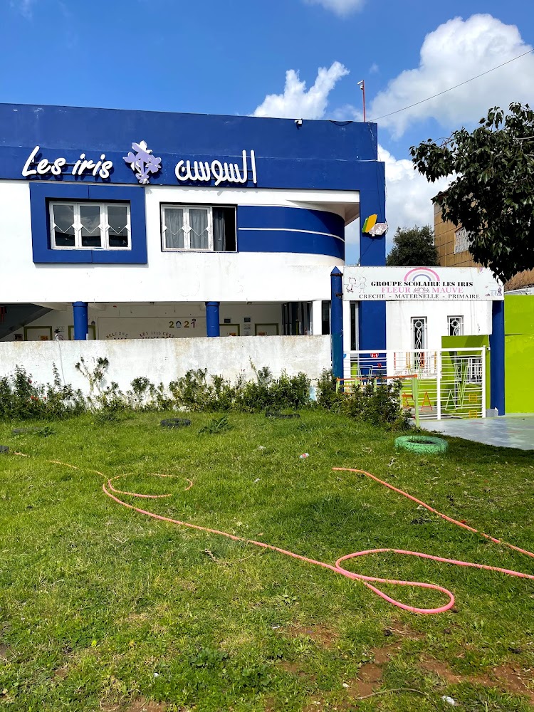 Groupe scolaire les iris (Fleur Mauve)