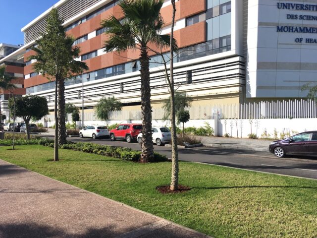 Université Mohammed VI des Sciences de la Santé - Casablanca