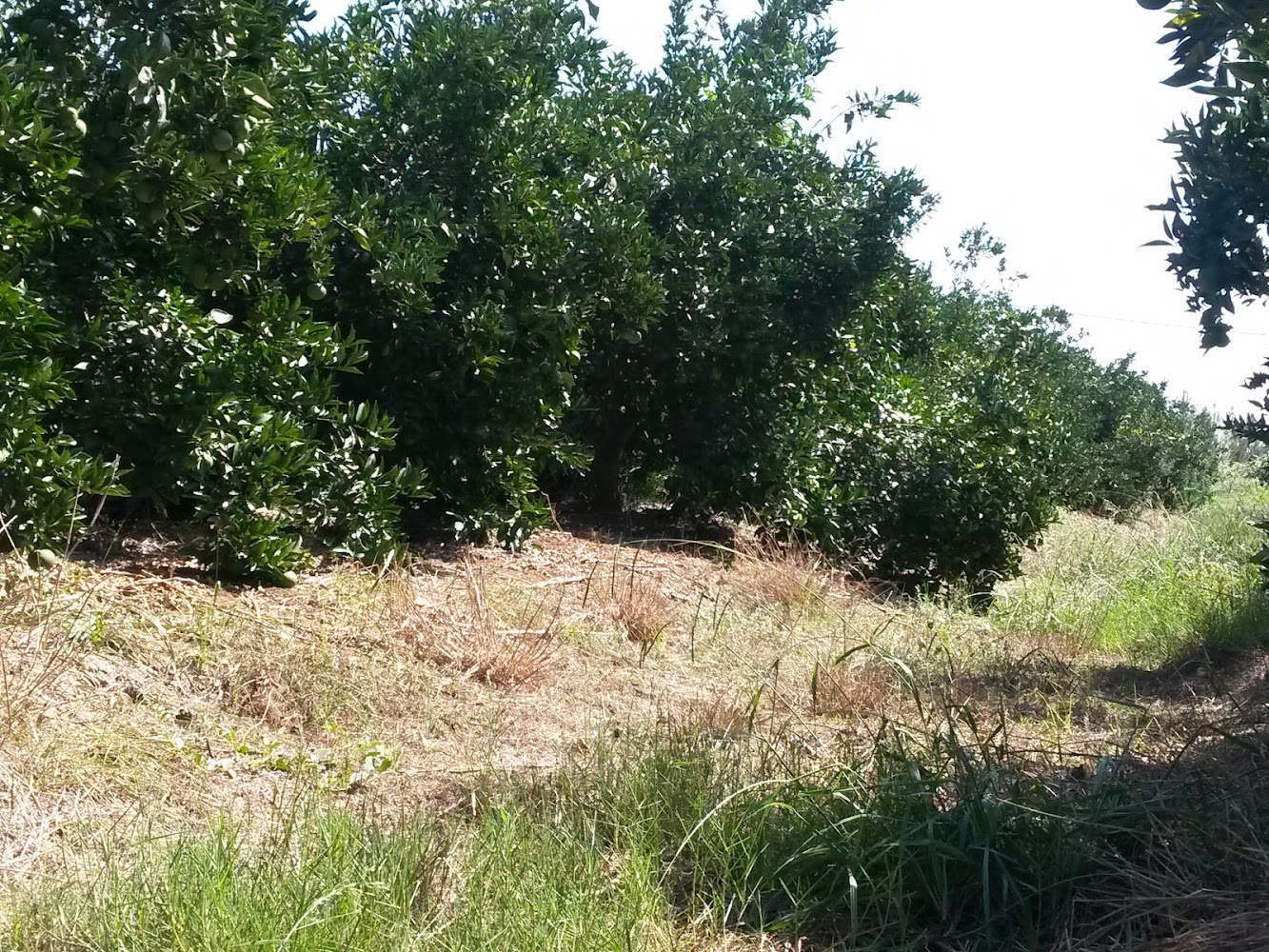Domaines k.b agro