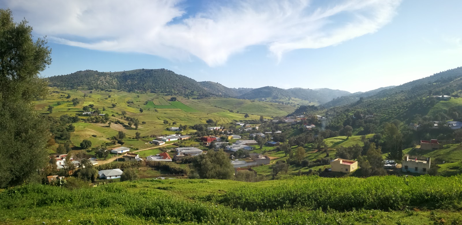 فرعية الحرشية - Douar El Harchia