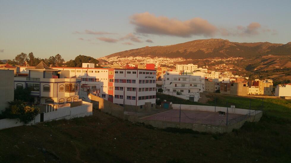 Institut amis Des Sciences