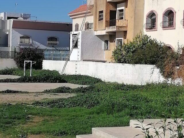 College Omar mokhtar