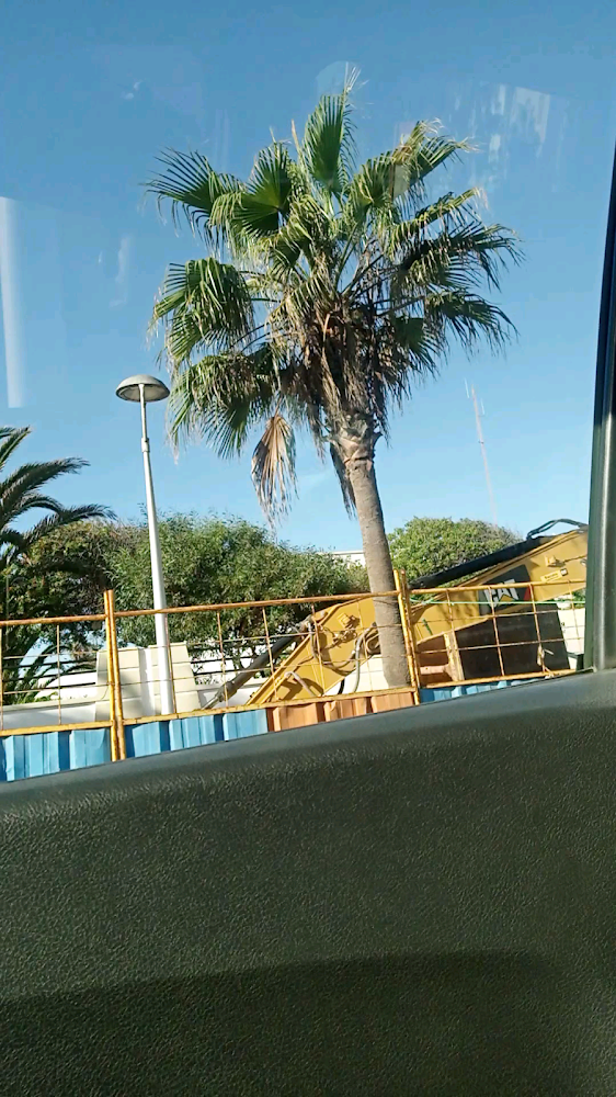 الثانوية التأهيلية محمد الخامس