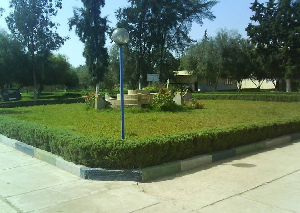 ISTA - Sidi Kacem