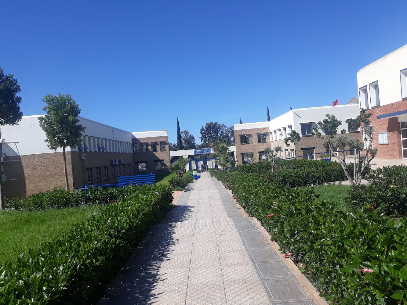 Faculté des sciences juridiques et politiques