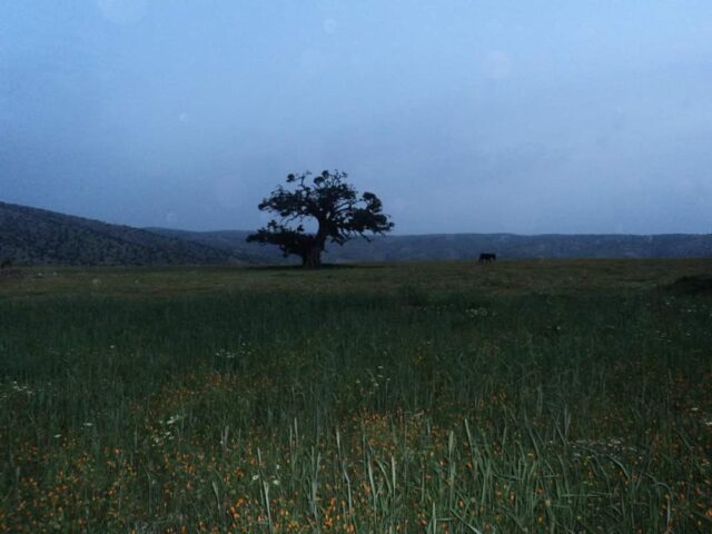 مدرسة زاوية اوحسن