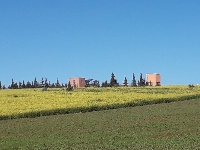 مجموعة مدارس الطالع موسى.المركزية