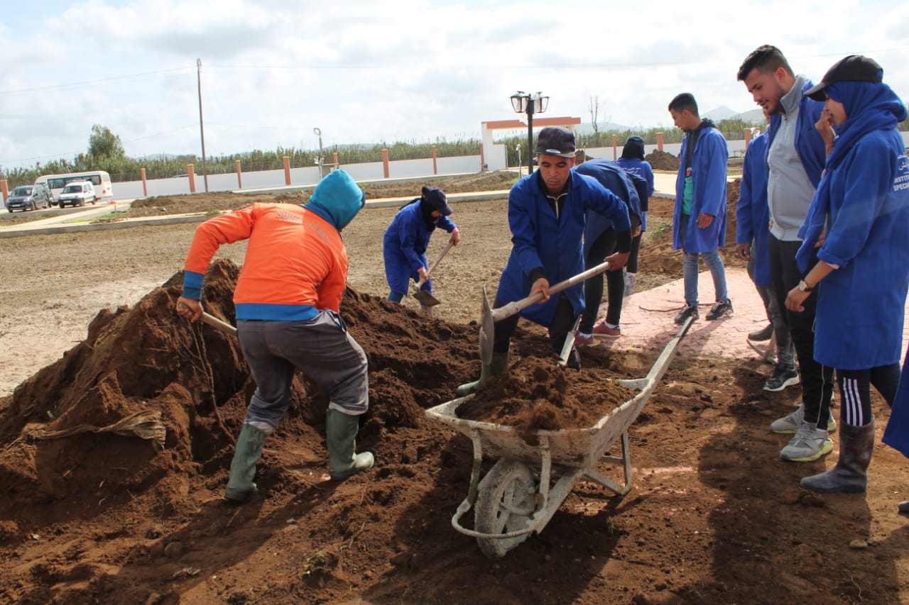 Institut des techniciens spécialisés en agriculture