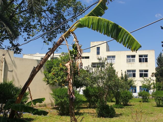 OFPPT - Ksar El-Kébir