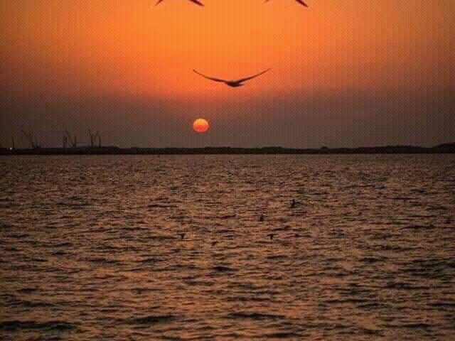 ملعب الفطانسة - Ouled Hammouda