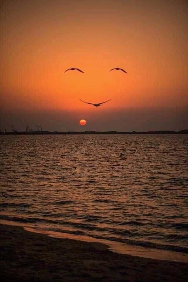 ملعب الفطانسة - Ouled Hammouda