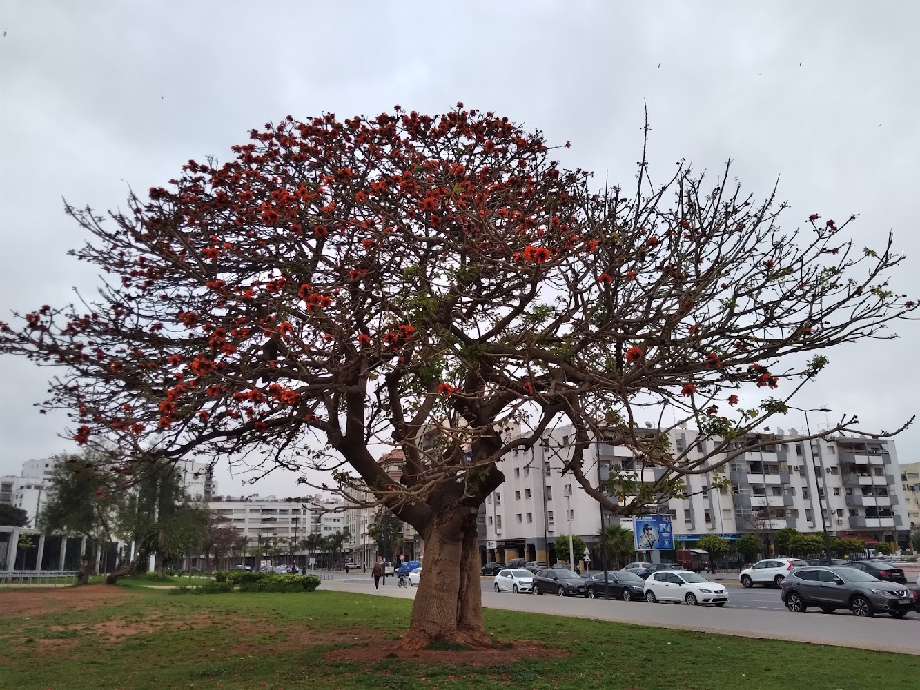 Ecole Taiba - Casablanca