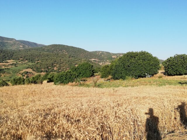 مجموعة مدارس عبد الله كنون