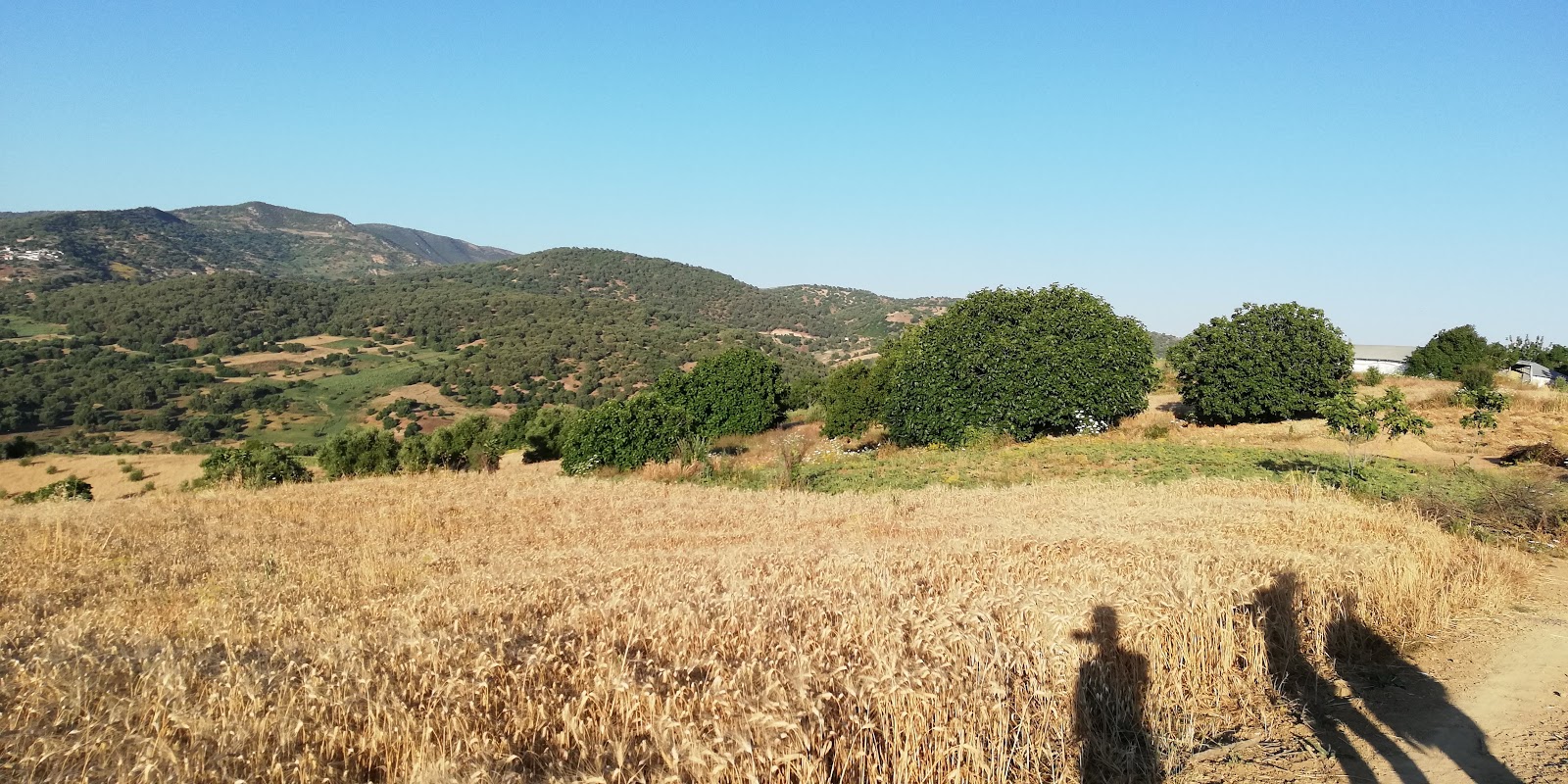 مجموعة مدارس عبد الله كنون