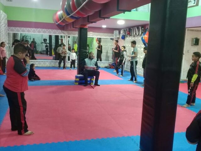 جمعية المركزي للفول كونتاكت