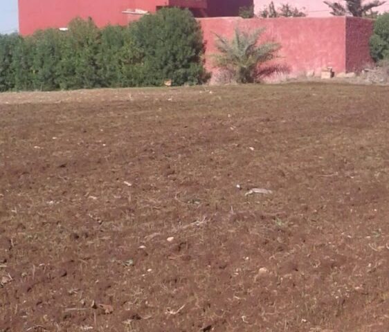 Collège Zarktouni - Berrchid