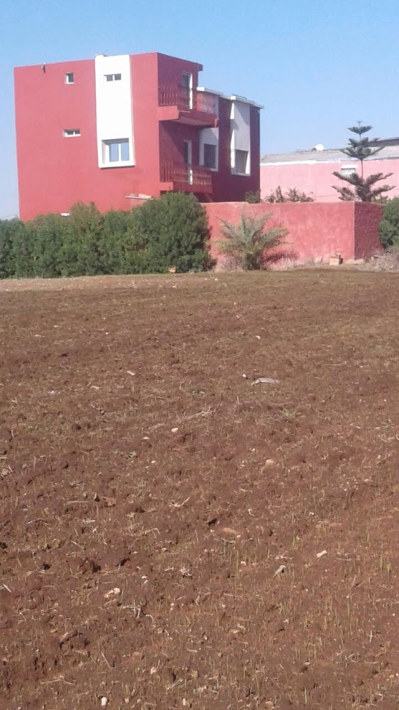 Collège Zarktouni - Berrchid