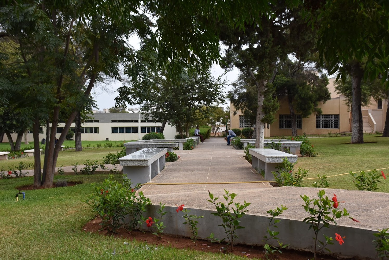 Faculté des sciences de l'éducation - Rabat