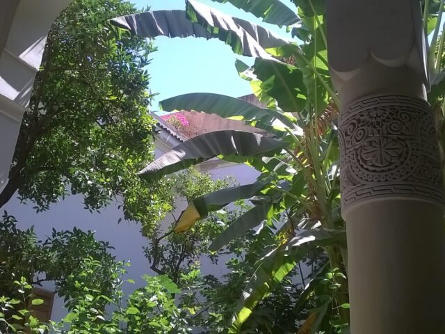 IL GIARDINO DI IBN ARABI - Fès