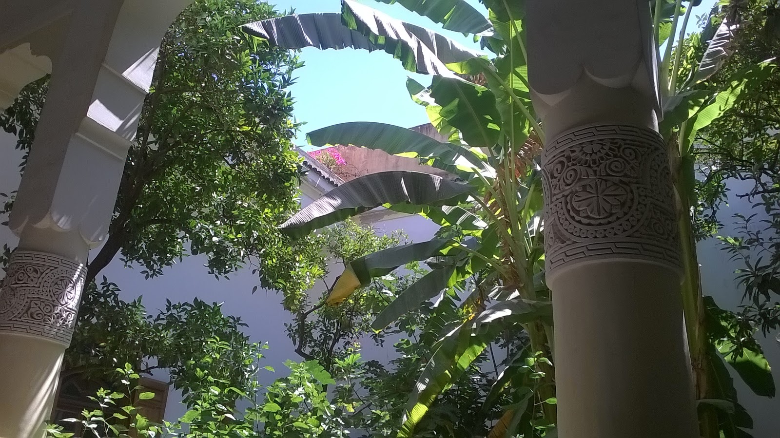 IL GIARDINO DI IBN ARABI - Fès