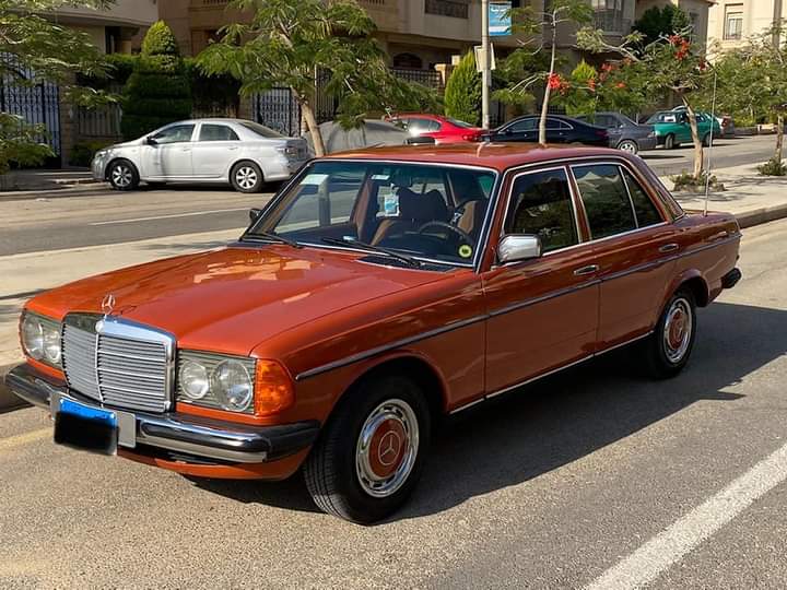 مدرسة تيفوتة - تيفوتة