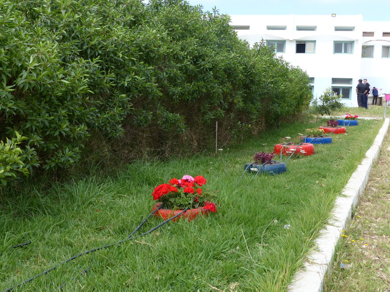Collége El Manar - El Jadida