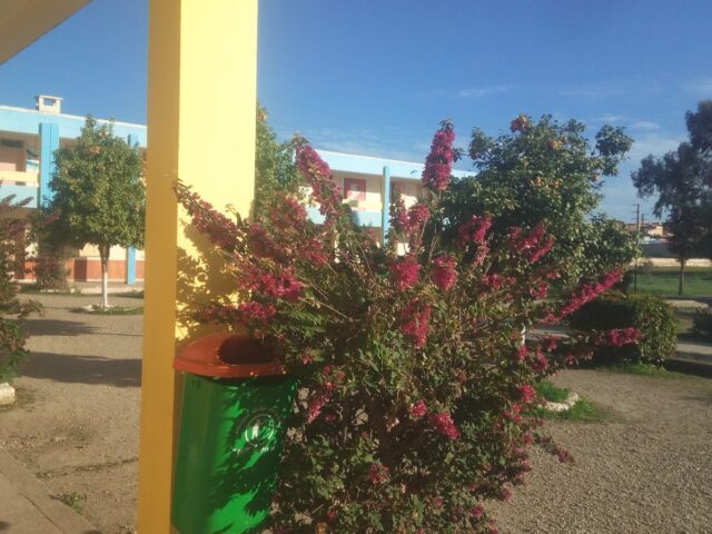 إعدادية القاضي عياض