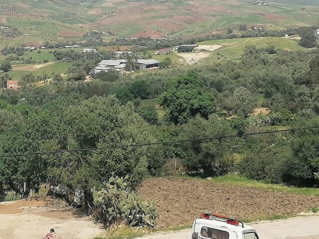 مدرسة عين الحافة