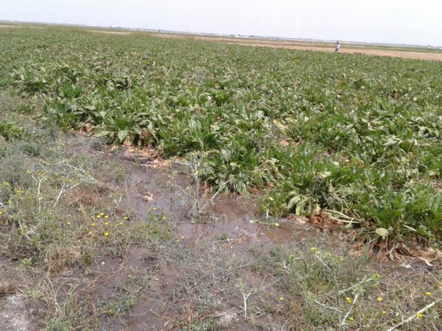 College Taouss - El Agagcha