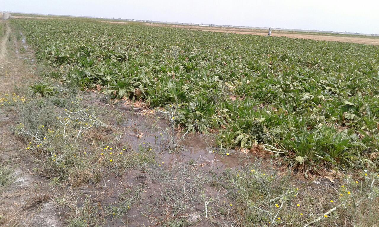 College Taouss - El Agagcha