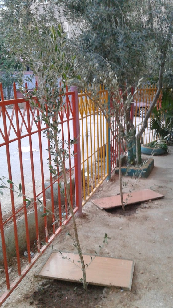 ecole Sijilmassa ALOUAHA