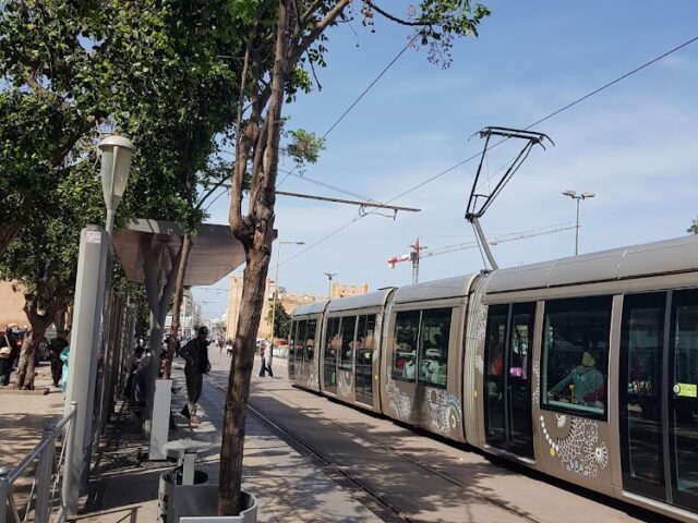 selectividadcgranada - Rabat