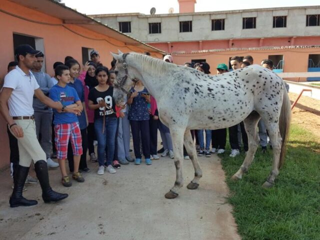 المعهد اللغوي الأمريكي تمارة
