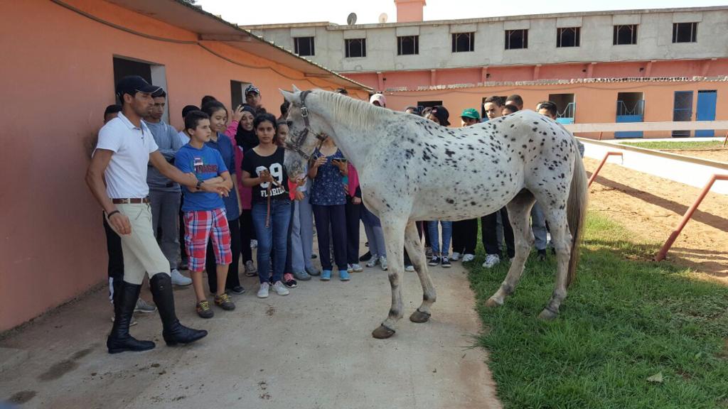 المعهد اللغوي الأمريكي تمارة