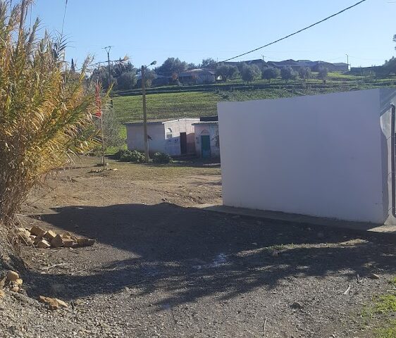 مدرسة الزيتون فرعية اظهارتاج