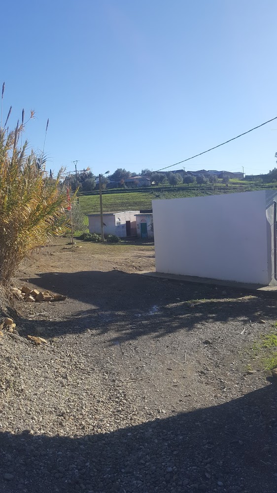 مدرسة الزيتون فرعية اظهارتاج