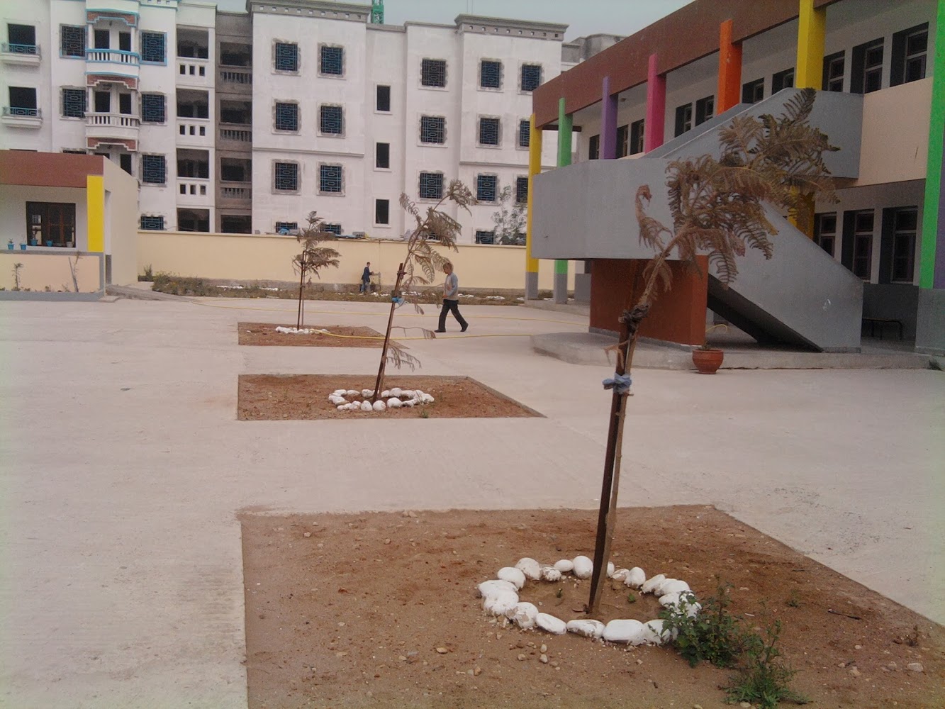 Ecole Primaire El Bouhaira