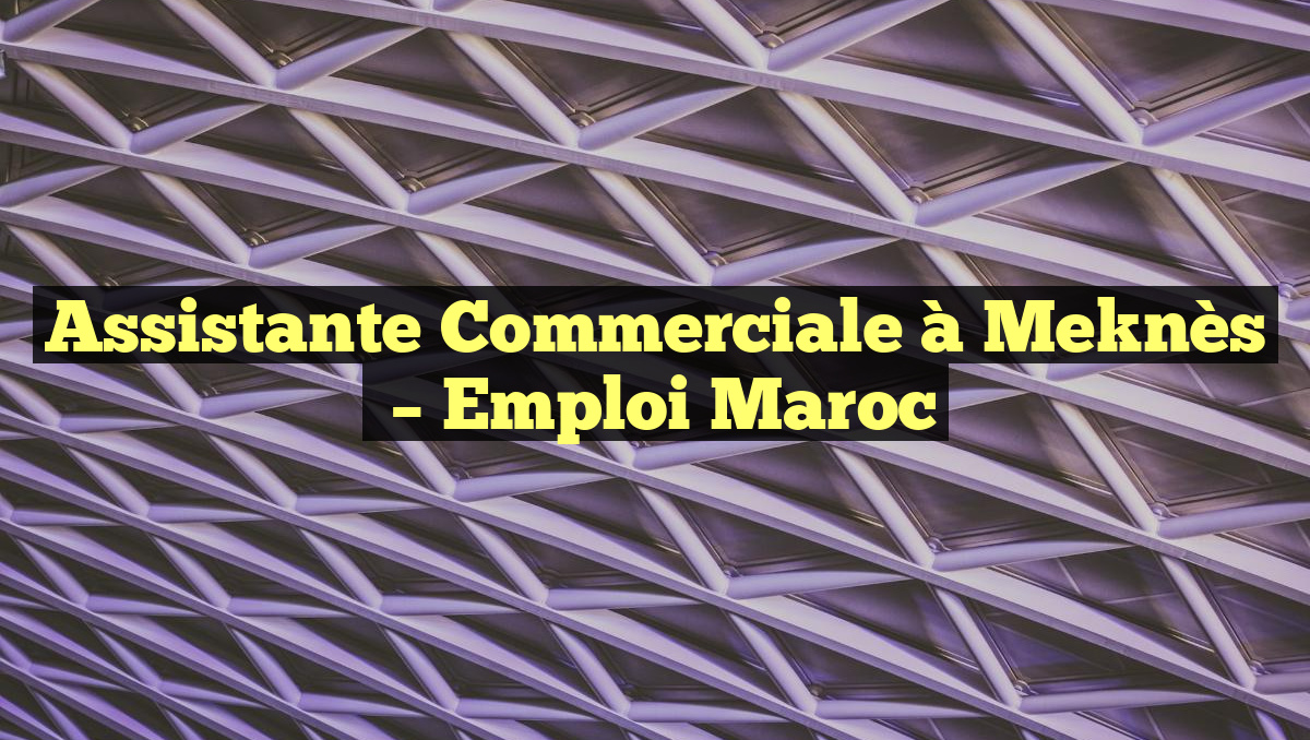 Assistante Commerciale à Meknès
– Emploi Maroc