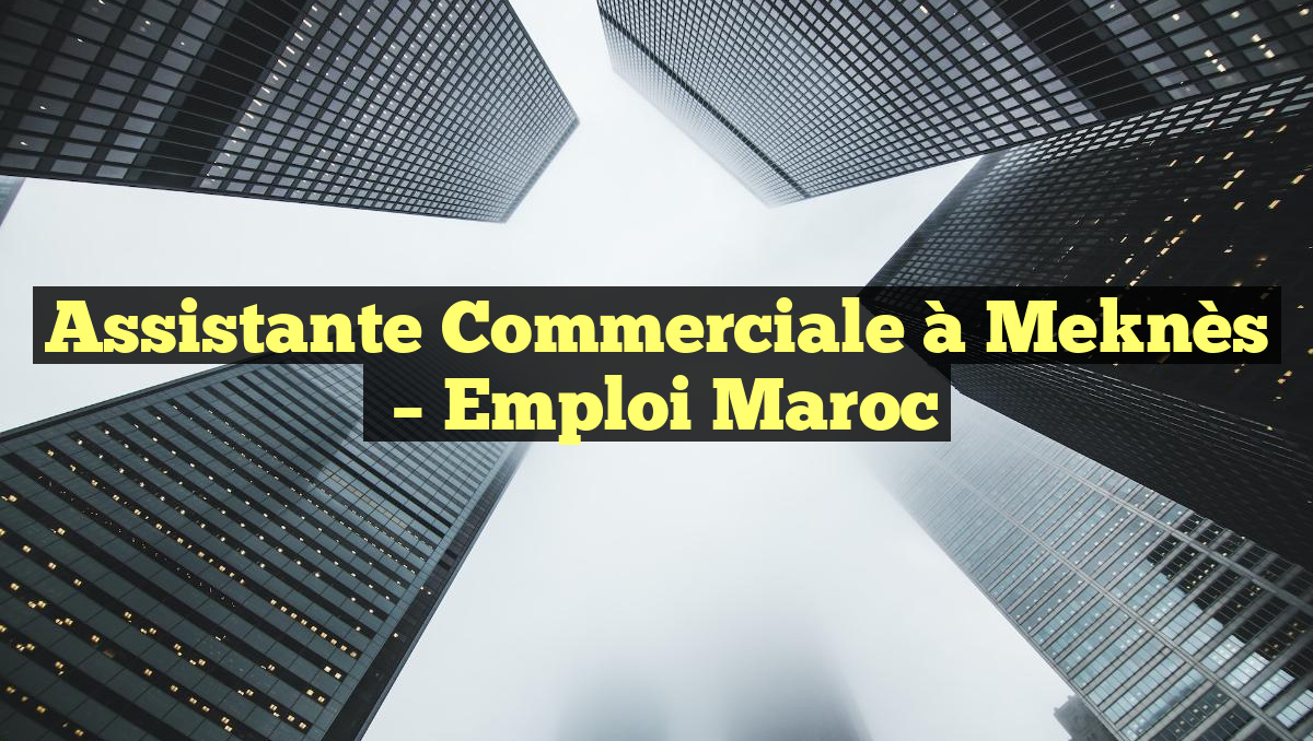 Assistante Commerciale à Meknès
– Emploi Maroc